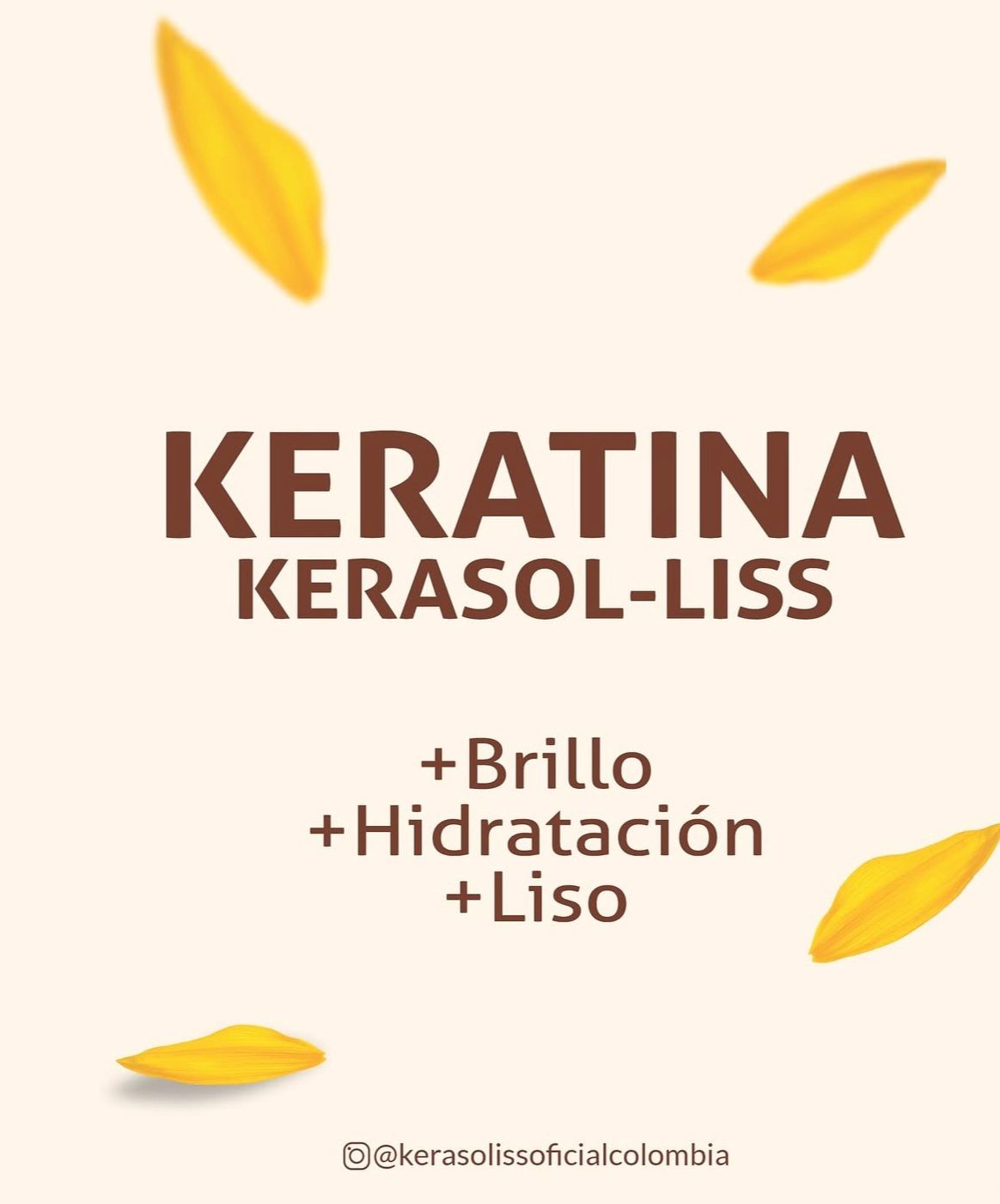KIT TRES PASOS KERATINA ALISADORA