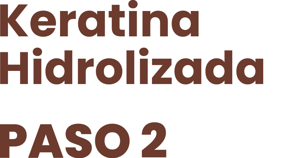 Keratina Hidrolizada Paso 2