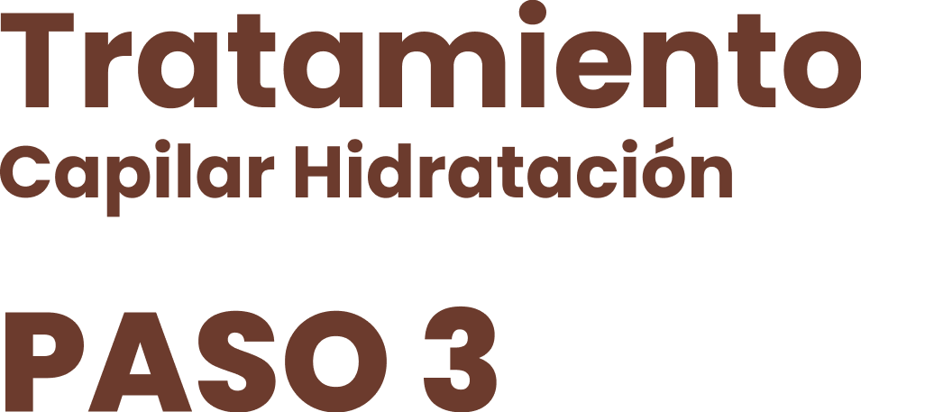 Tratamiento Capilar Hidratación Paso 3