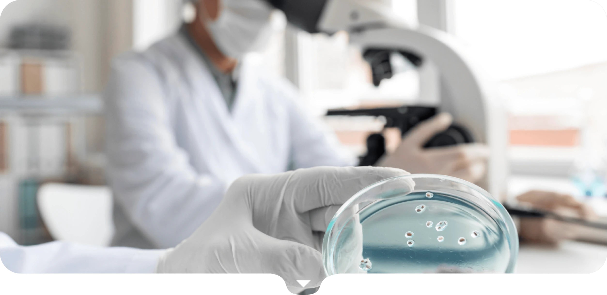 Laboratorio Kerasolís: investigación y desarrollo de productos capilares.